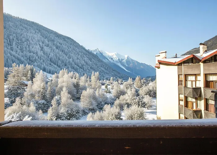 Résidence Grand Roc - Campanules 311 - Happy Appartement *