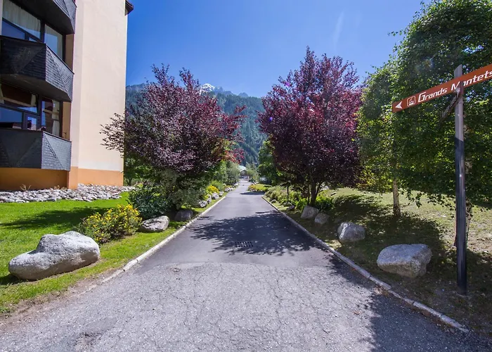 Grand Roc - Campanules 311 - Happy * Chamonix