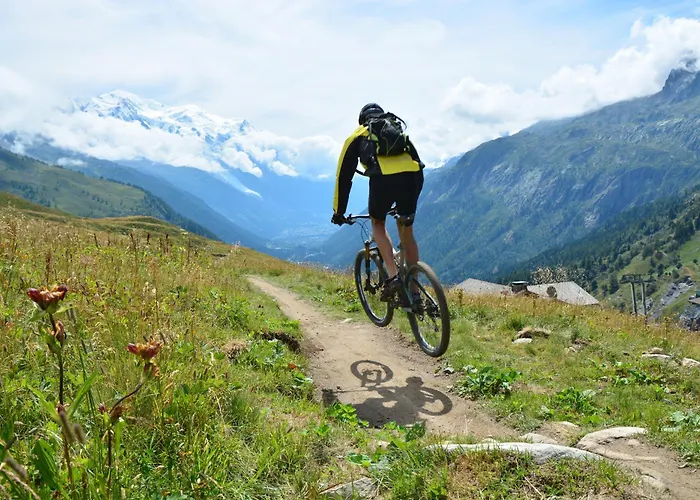 Apartmán Grand Roc - Campanules 311 - Happy *