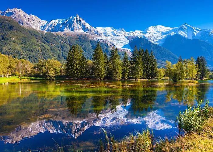 Grand Roc - Campanules 311 - Happy Apartman Chamonix